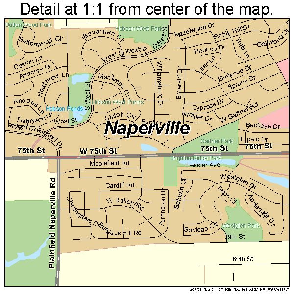 Naperville Illinois County Map - vrogue.co