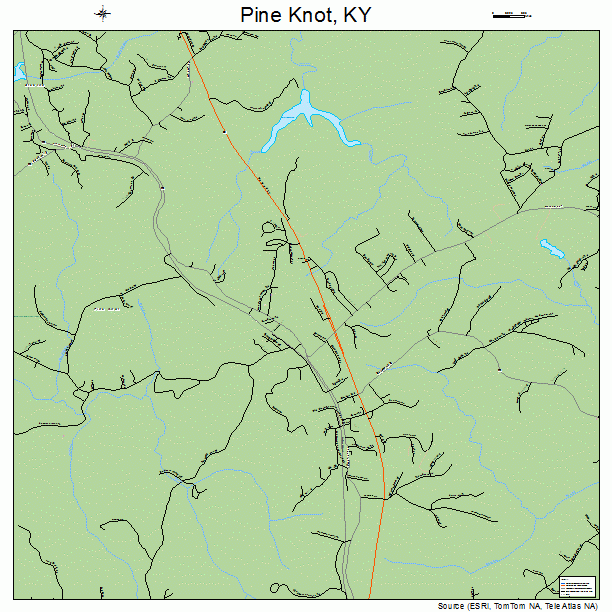 Pine Knot Kentucky Street Map 2161122