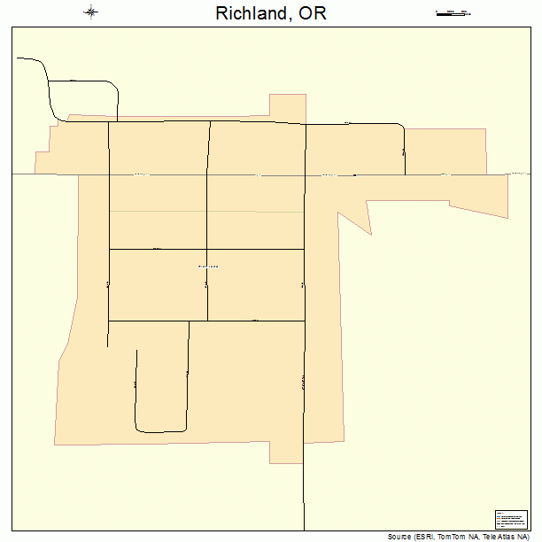 Richland Oregon Street Map 4161700